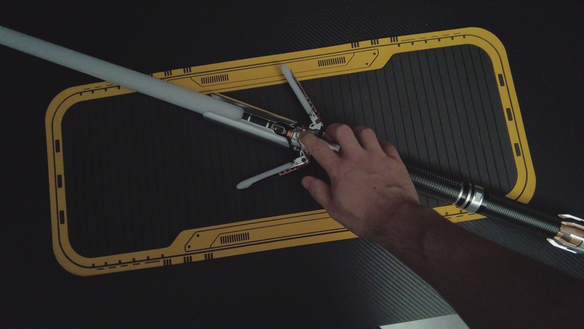 The Survivor (Crossguard)